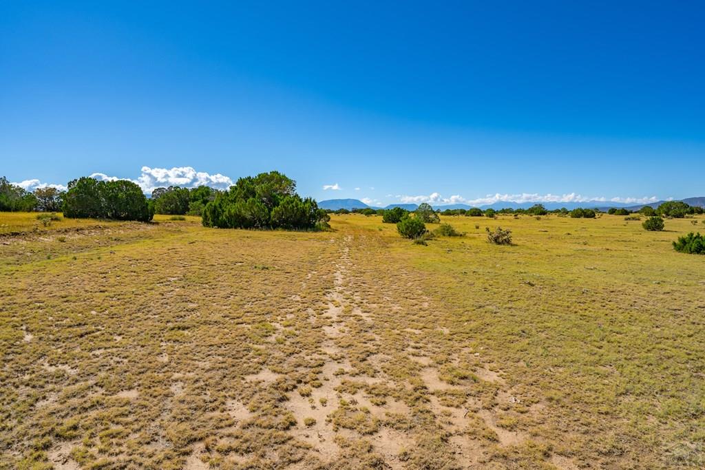 25-52 Twin Lakes Road Walsenburg, CO 81089 - Photo 16 of 19