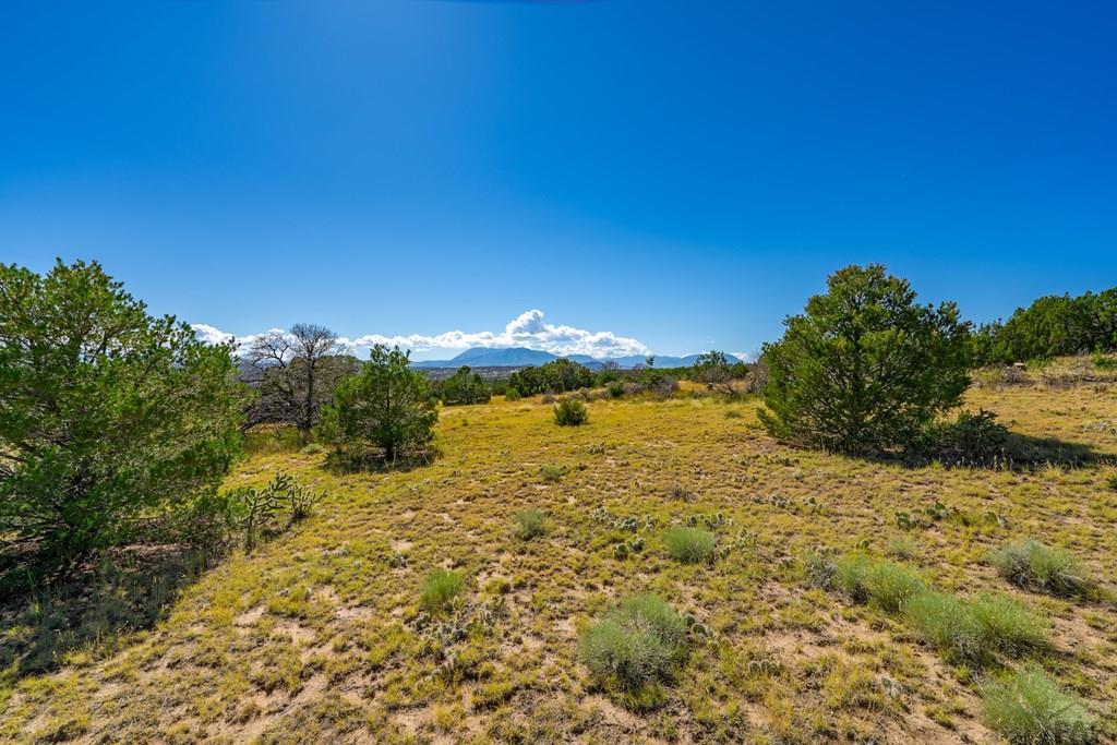 25-52 Twin Lakes Road Walsenburg, CO 81089 - Photo 17 of 19
