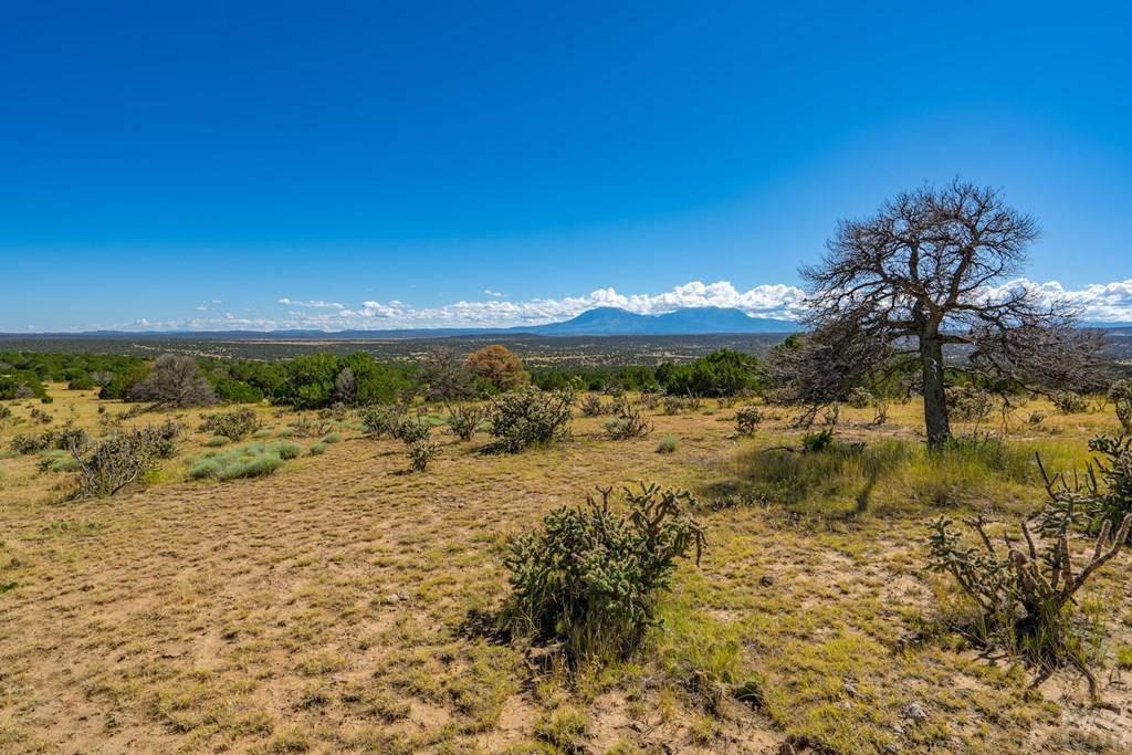 25-52 Twin Lakes Road Walsenburg, CO 81089 - Photo 18 of 19