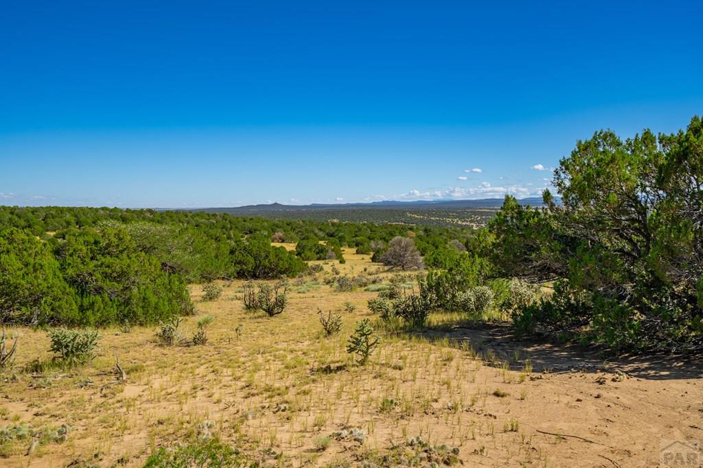 25-52 Twin Lakes Road Walsenburg, CO 81089 - Photo 19 of 19