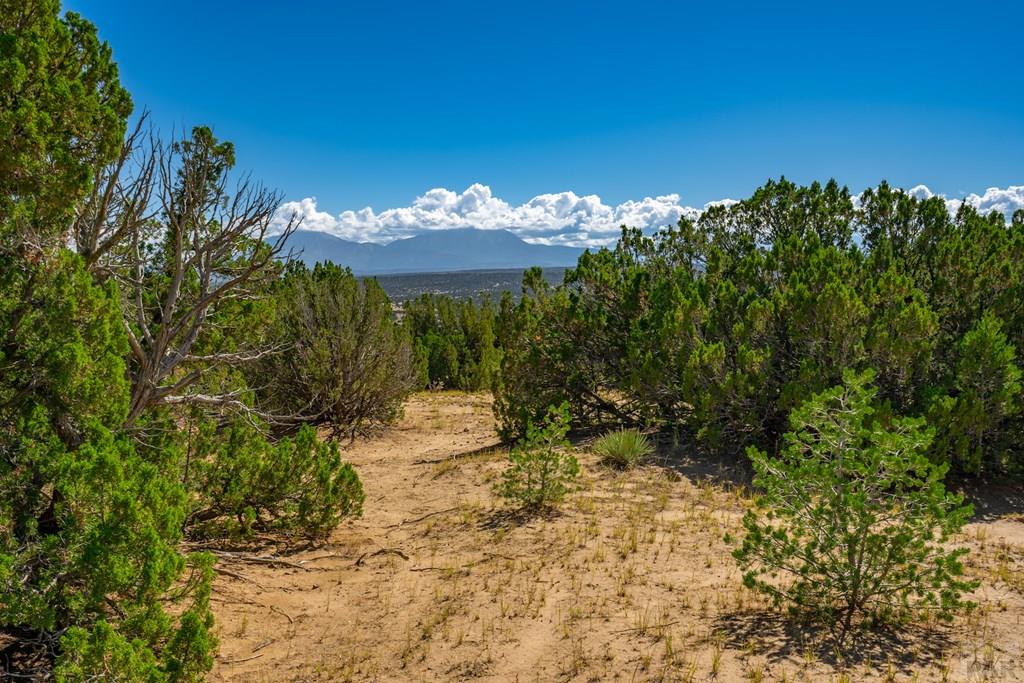 25-52 Twin Lakes Road Walsenburg, CO 81089 - Photo 3 of 19