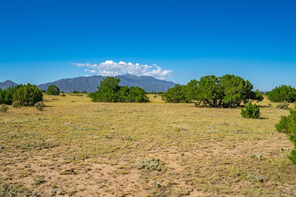 25-52 Twin Lakes Road Walsenburg, CO 81089 - Photo 7 of 19