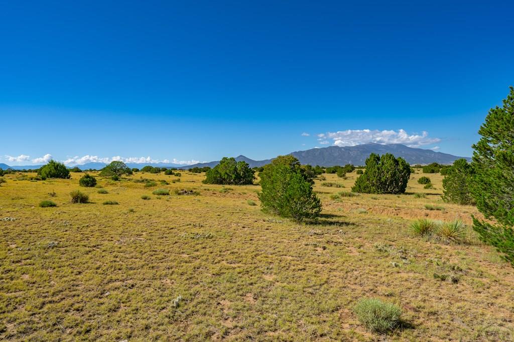 25-52 Twin Lakes Road Walsenburg, CO 81089 - Photo 10 of 19