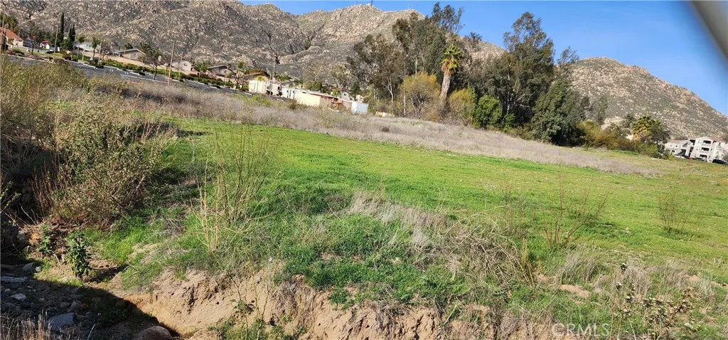 0 Box Springs Moreno Valley, CA 92557 - Photo 4 of 4 a view of a yard with an trees