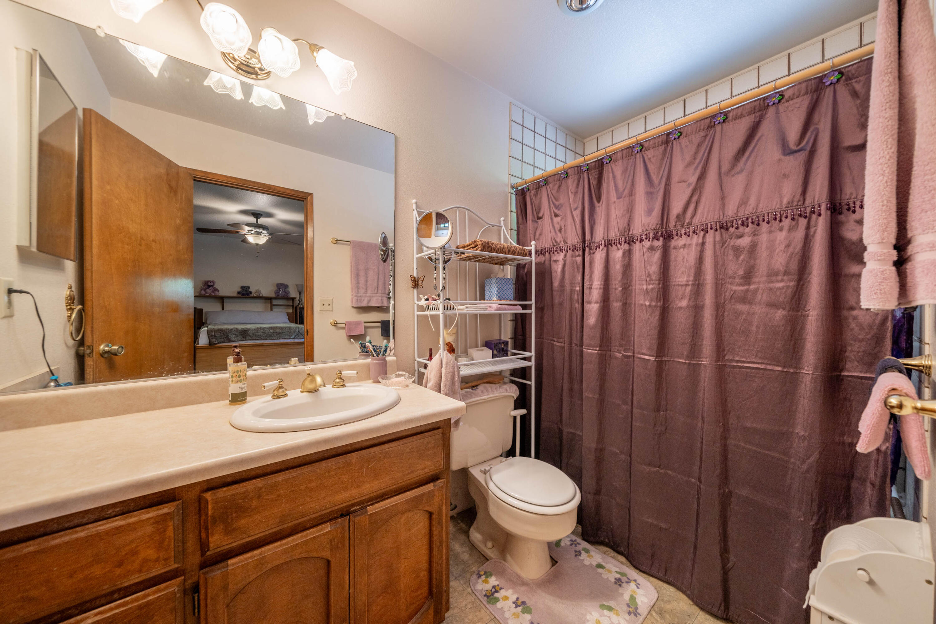 2285 Snow Lane Redding, CA 96003 - Photo 20 of 45 a bathroom with a sink a toilet a mirror a vanity and shower