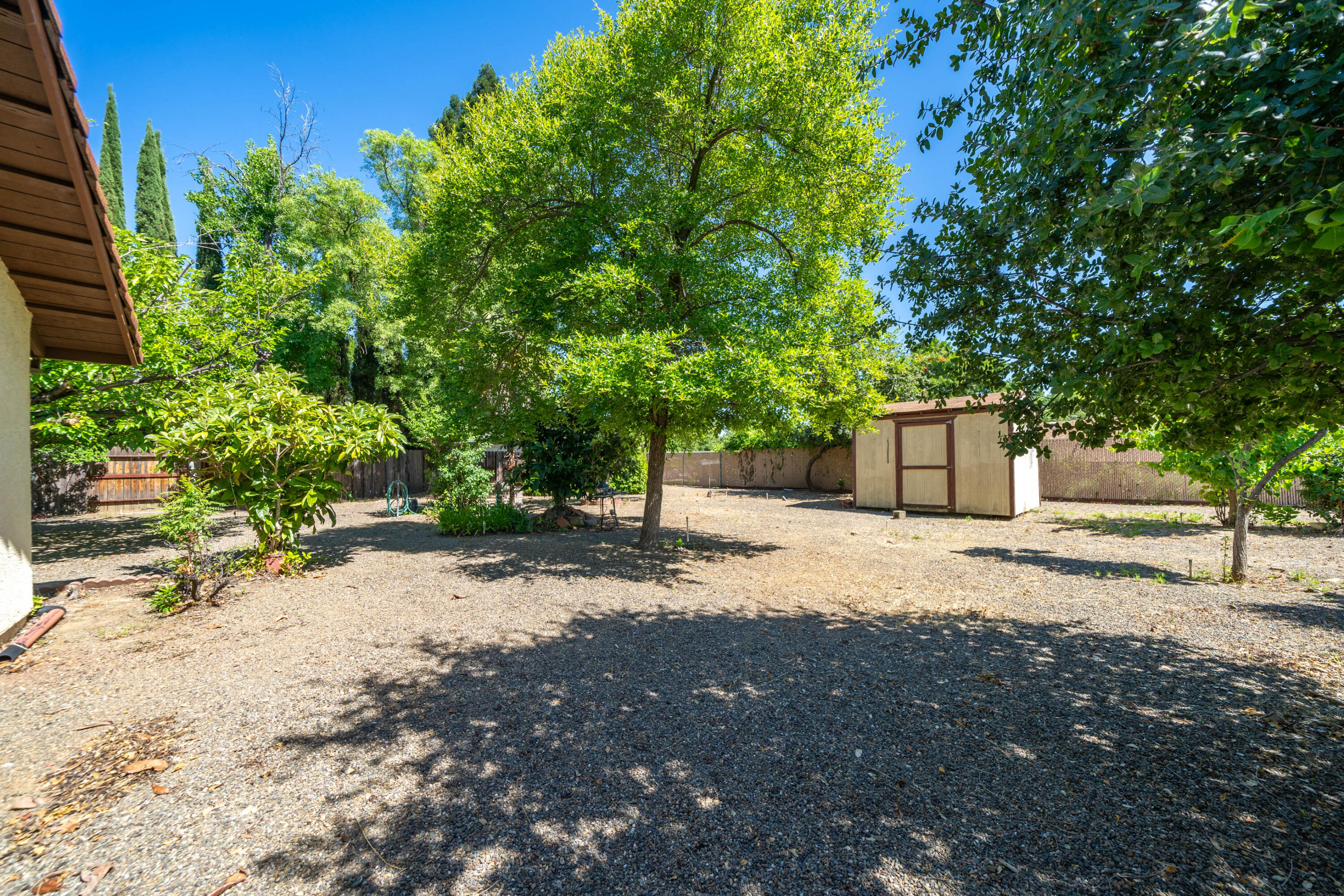 2285 Snow Lane Redding, CA 96003 - Photo 36 of 45 a road view with tall trees