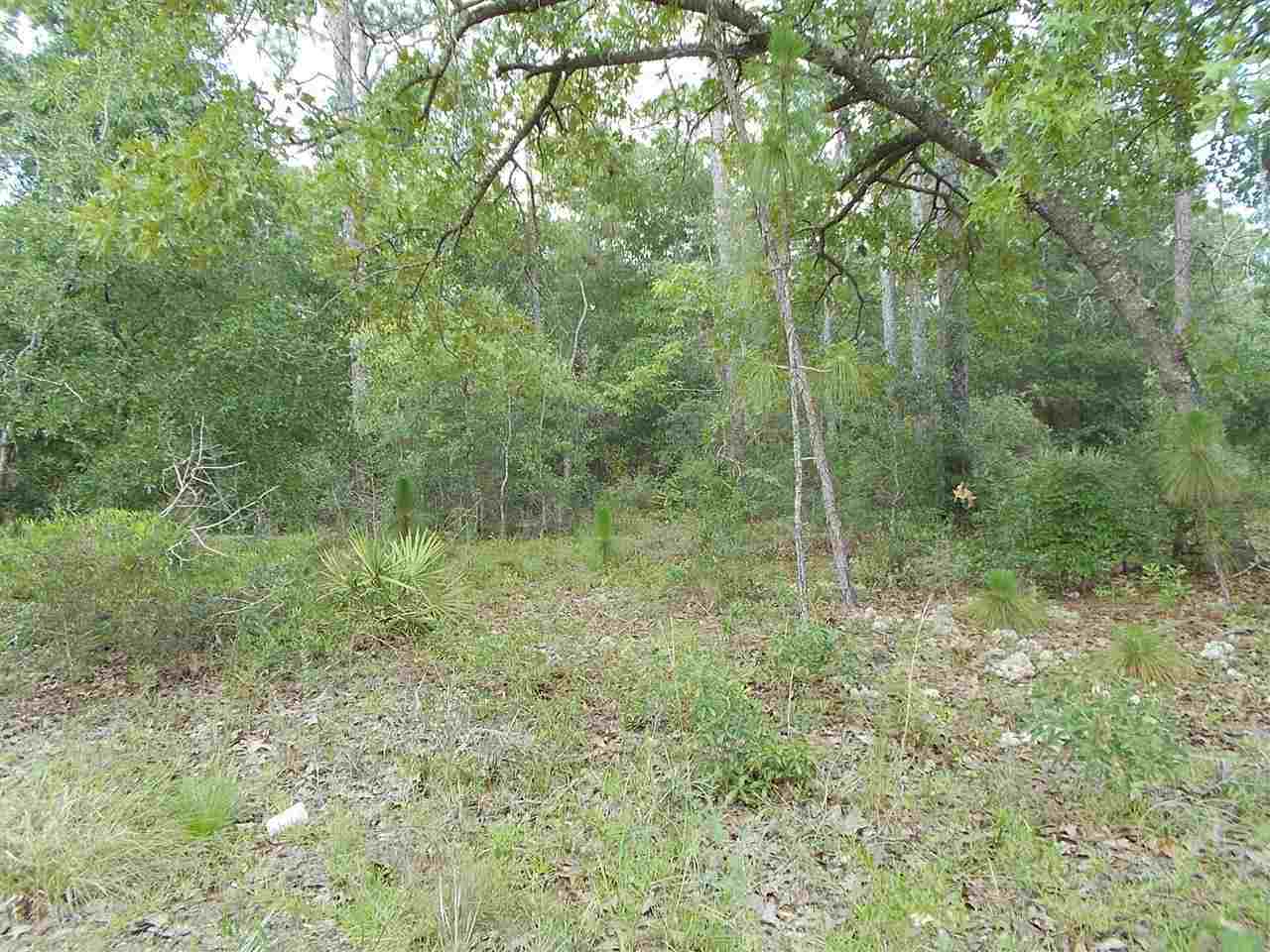 13 Decatur Avenue Panacea, FL 32346 - Photo 4 of 4 Gallery Image 4