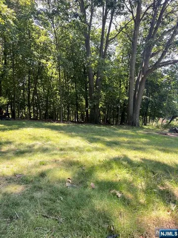 a view of a house with a yard and a large tree