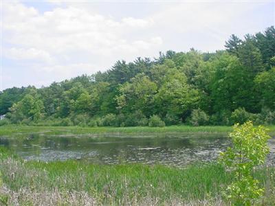 7006 Sadony Road Montague, MI 49437 - Photo 18 of 19 Additional Photo