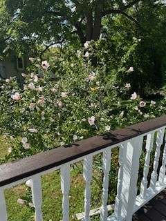 8297 Lake Road Sodus, NY 14555 - Photo 24 of 26