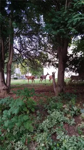 $145,000 | 8297 Lake Road, Sodus, NY 14555