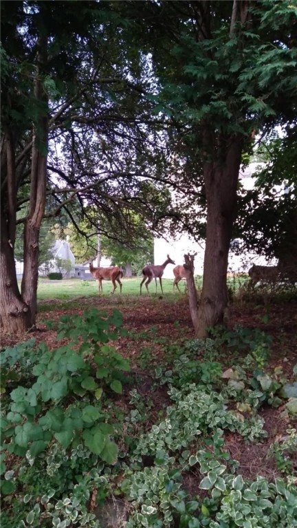 8297 Lake Road Sodus, NY 14555 - Photo 26 of 26