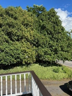 8297 Lake Road Sodus, NY 14555 - Photo 4 of 26