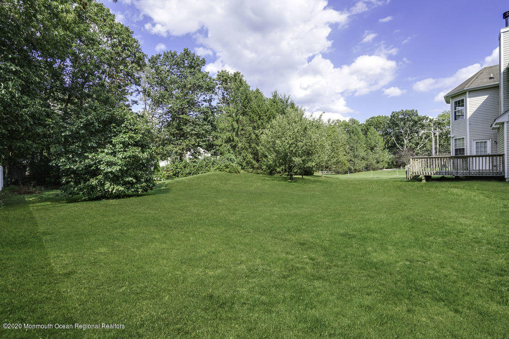 2 Normandy Drive Jackson, NJ 08527 - Photo 52 of 56 058_dsc07589_grass