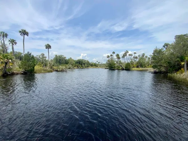 $349,000 | 20000 Mossy Hammock Grade, Lamont, FL 32336