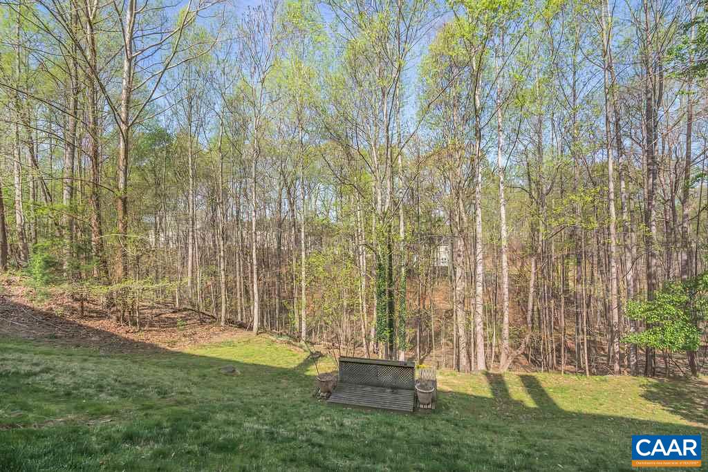 1254 Chatham Ridge Charlottesville, VA 22901 - Photo 29 of 31 Gallery Image 29
