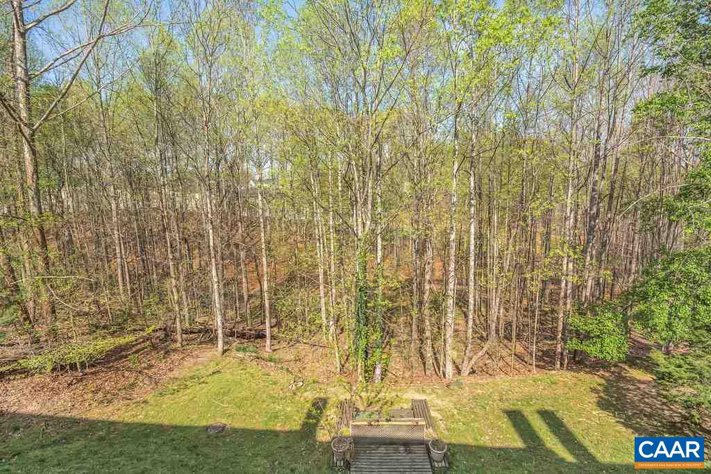 1254 Chatham Ridge Charlottesville, VA 22901 - Photo 31 of 31 Gallery Image 31