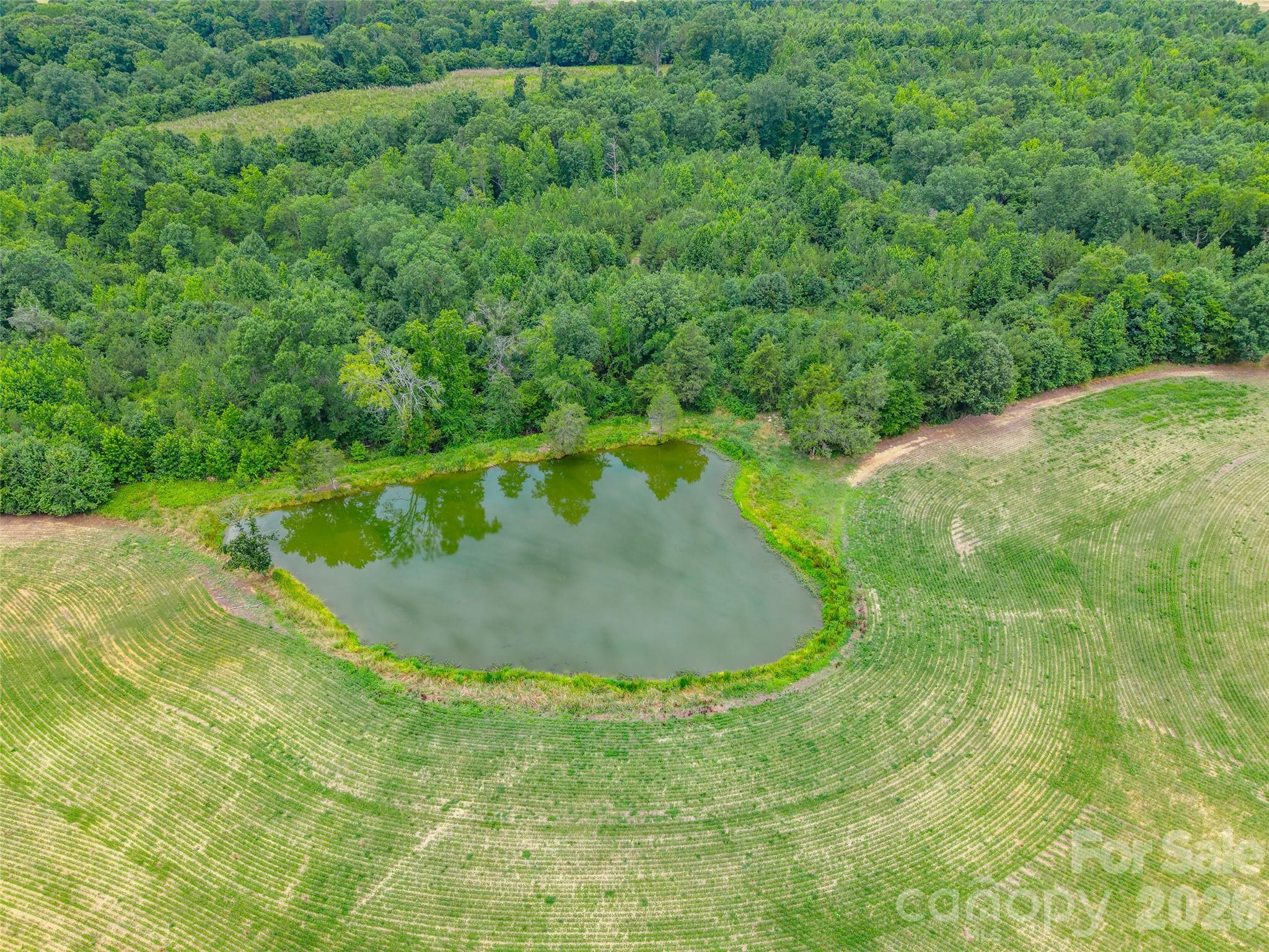 0 John Doster Road Pageland, SC 29728 - Photo 10 of 12