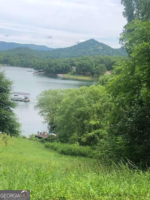 16 Omega Way Hiawassee, GA 30546 - Photo 3 of 11 a view of a lake with a city