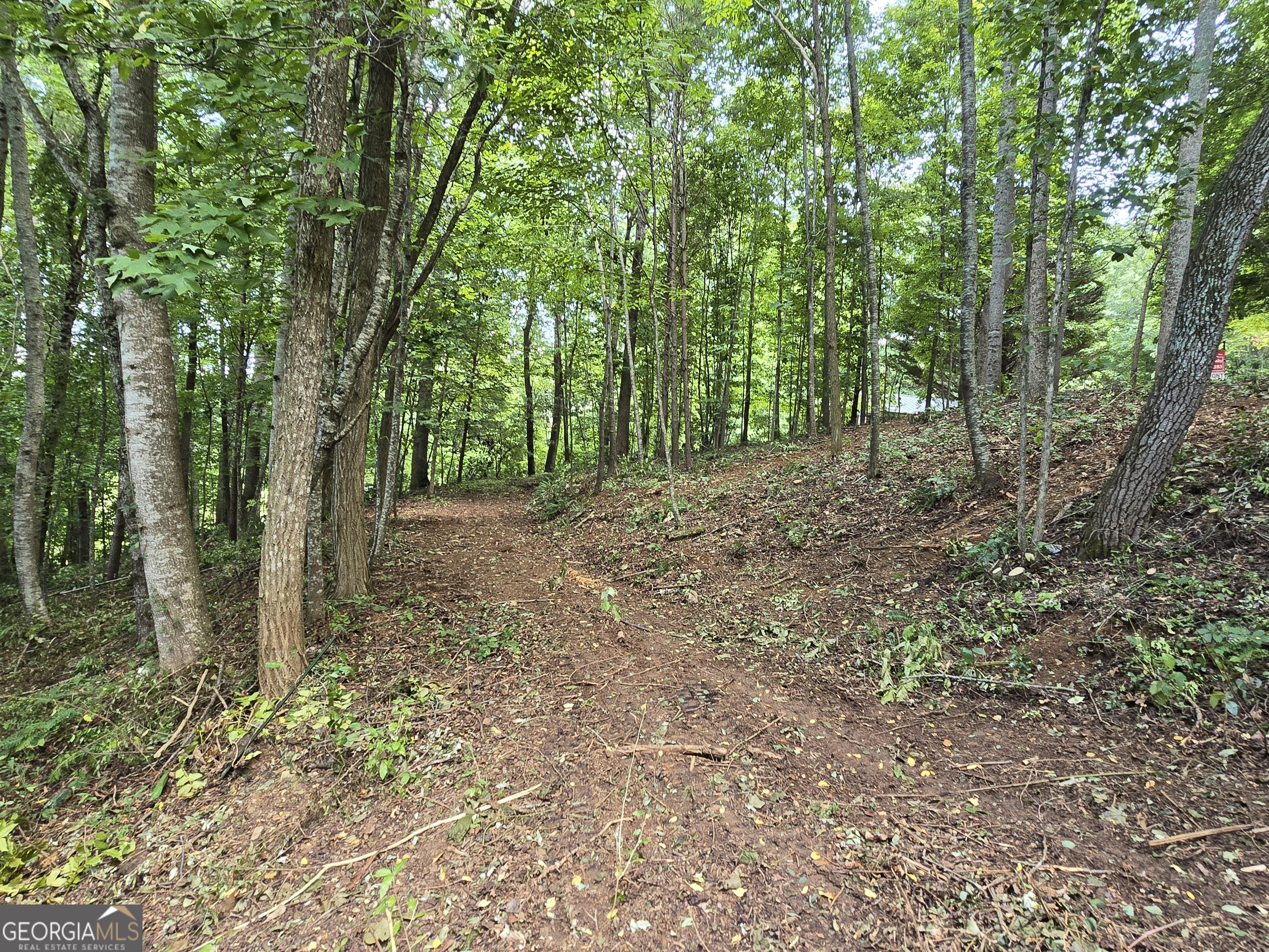 16 Omega Way Hiawassee, GA 30546 - Photo 8 of 11 a view of outdoor space and trees
