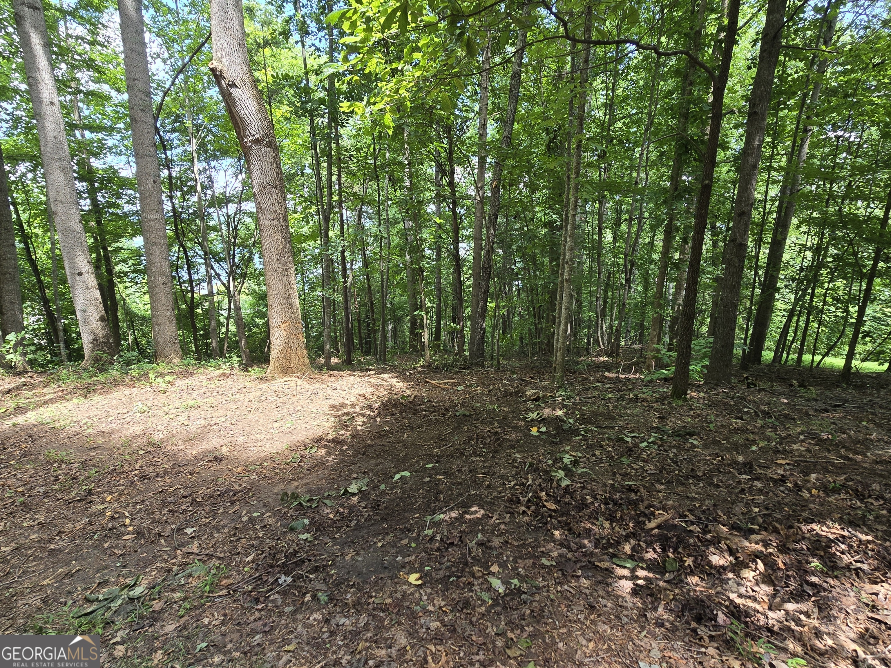 16 Omega Way Hiawassee, GA 30546 - Photo 10 of 11 a view of outdoor space and yard