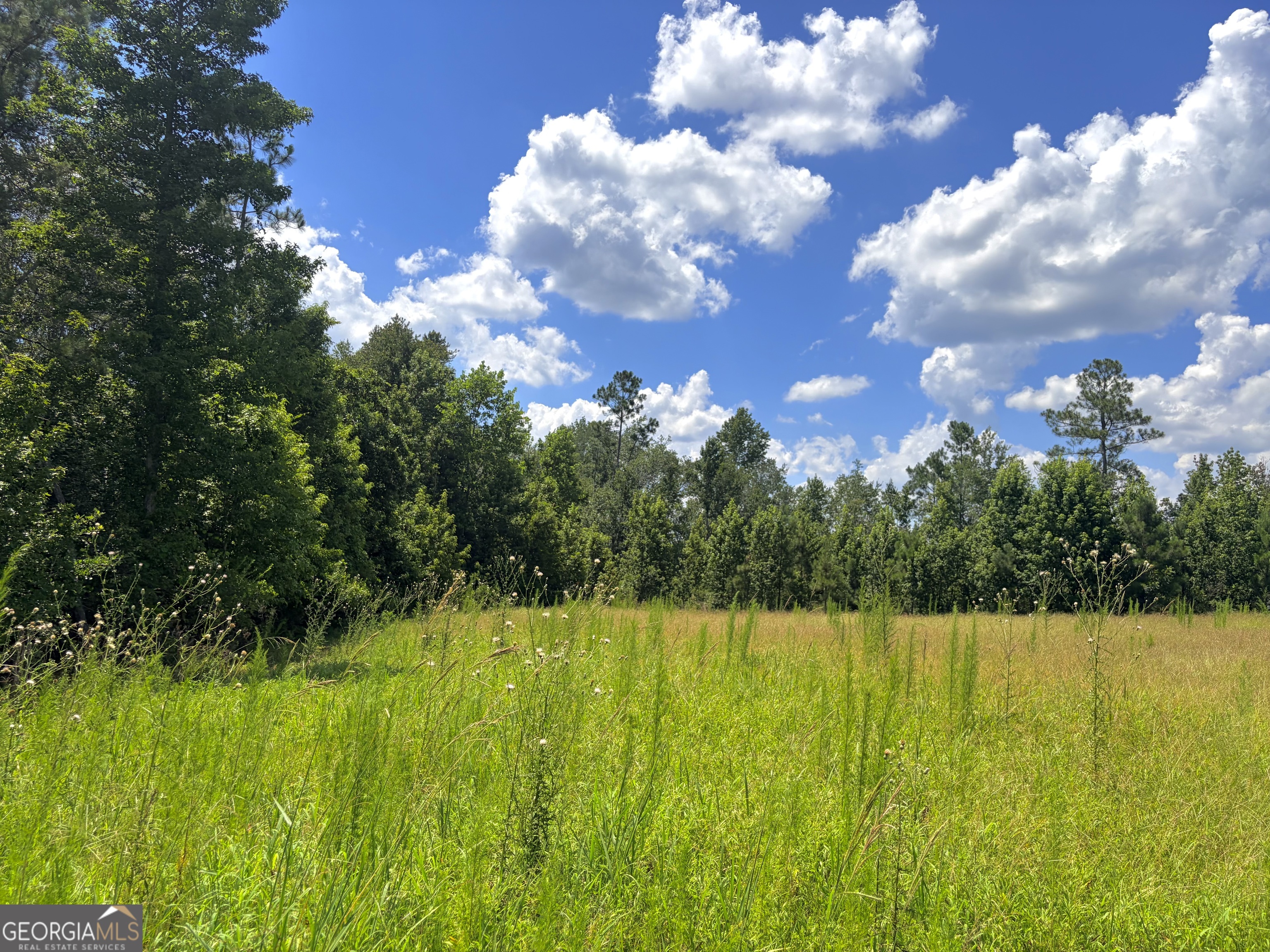 0 Ernest Carter Road Hazlehurst, GA 31539 - Photo 1 of 17 Large food plots strategically placed along wildlife corridors and creek.