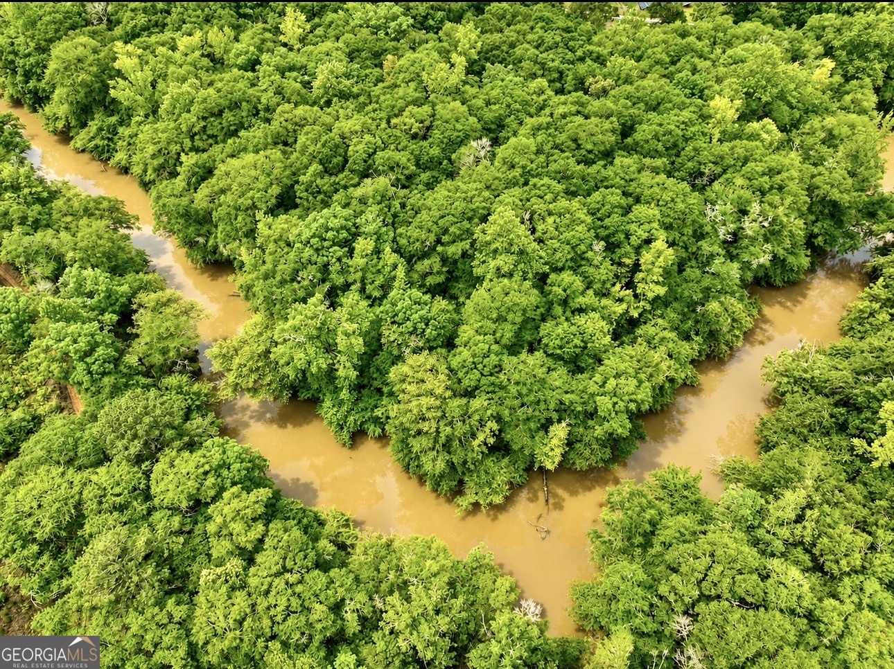 0 Rocky Creek Road Thomaston, GA 30286 - Photo 7 of 30