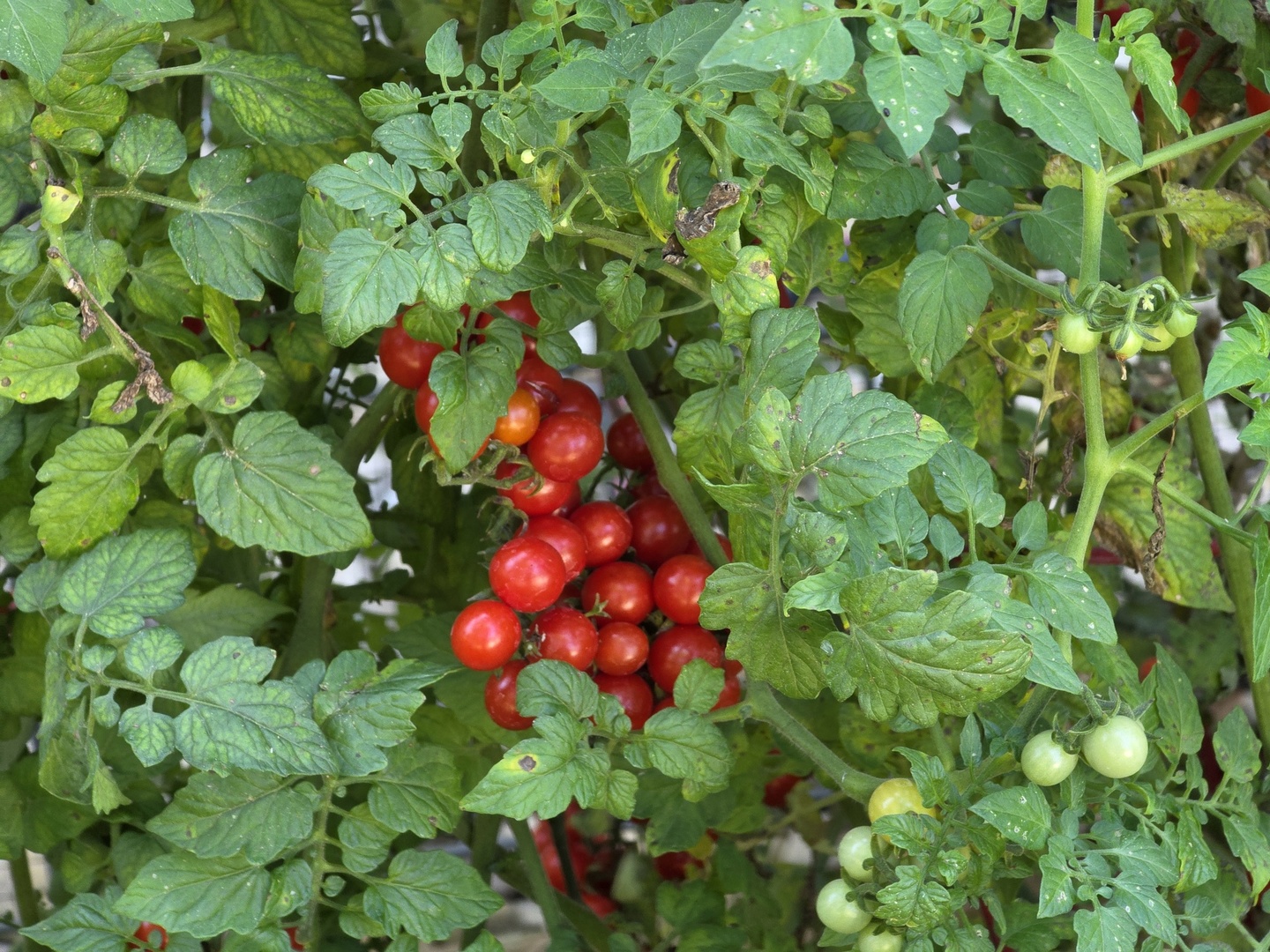 88 Gromer Road Elgin, IL 60120 - Photo 54 of 58