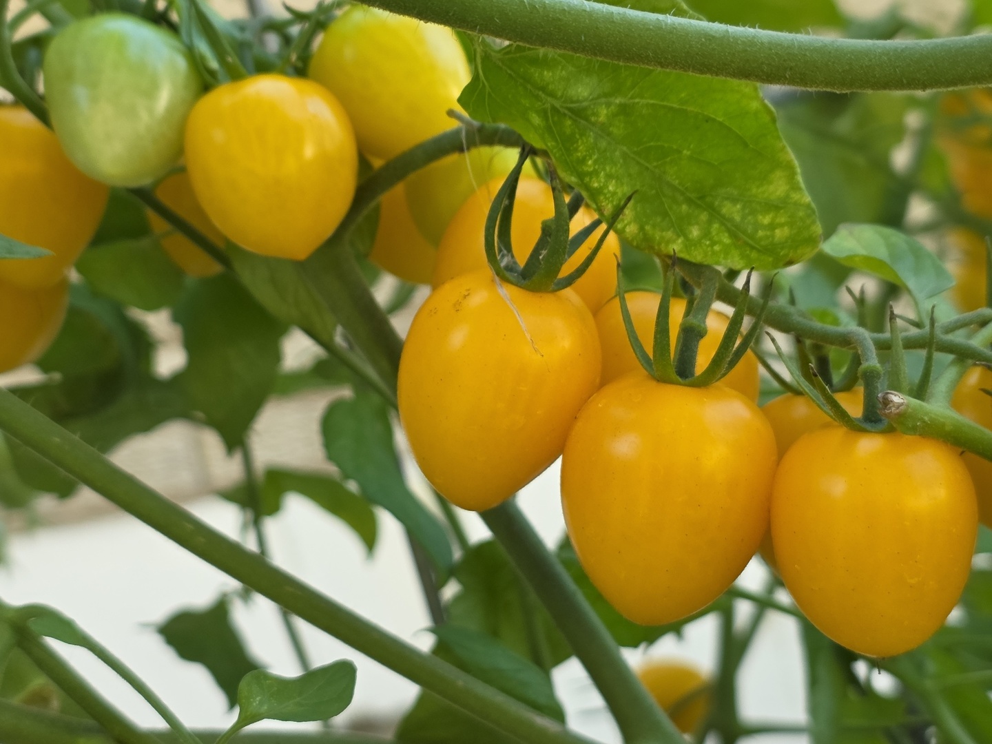 88 Gromer Road Elgin, IL 60120 - Photo 55 of 58