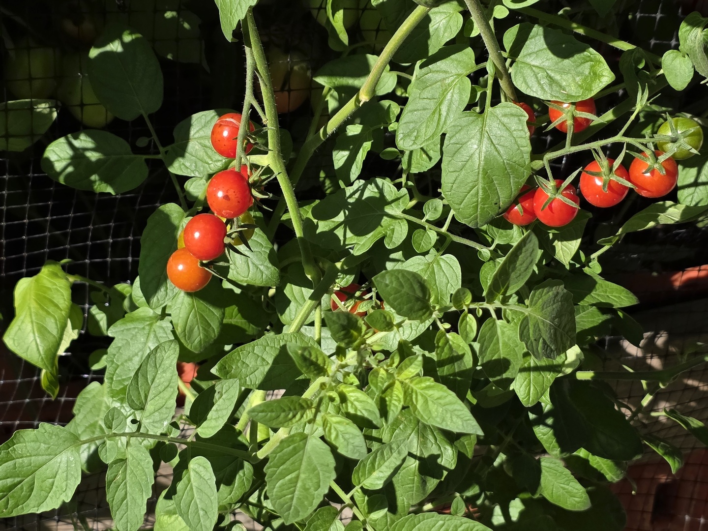 88 Gromer Road Elgin, IL 60120 - Photo 58 of 58