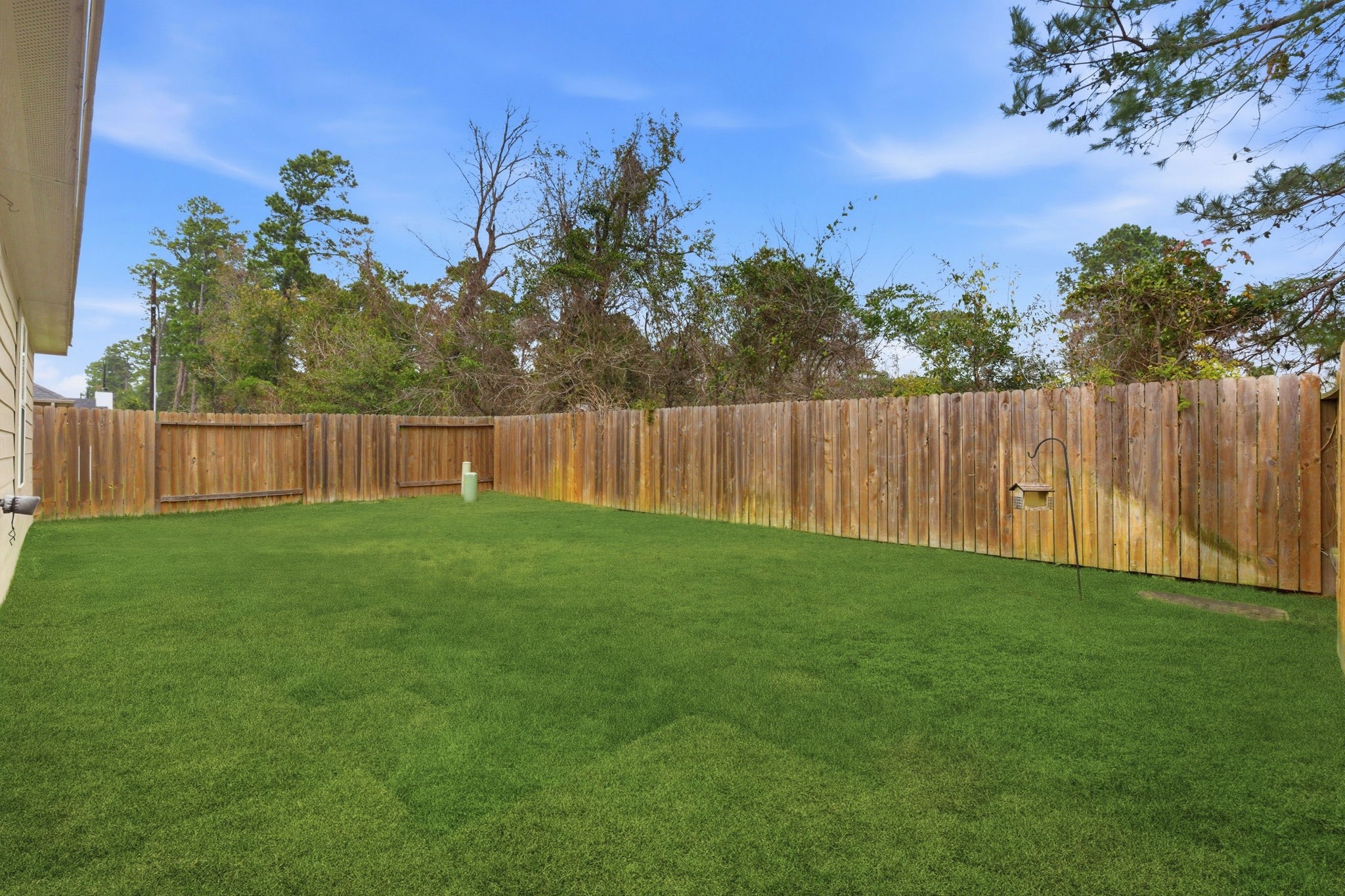 27146 Grey Fox Run Magnolia, TX 77354 - Photo 40 of 44 a view of a backyard with a large tree