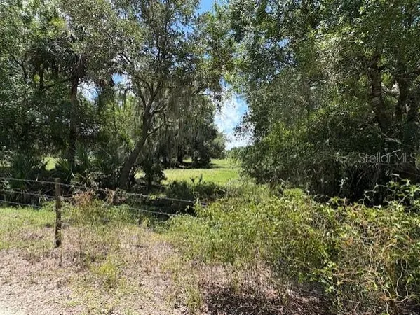$250,000 | 10362 Southeast Mehl Avenue, Arcadia, FL 34266