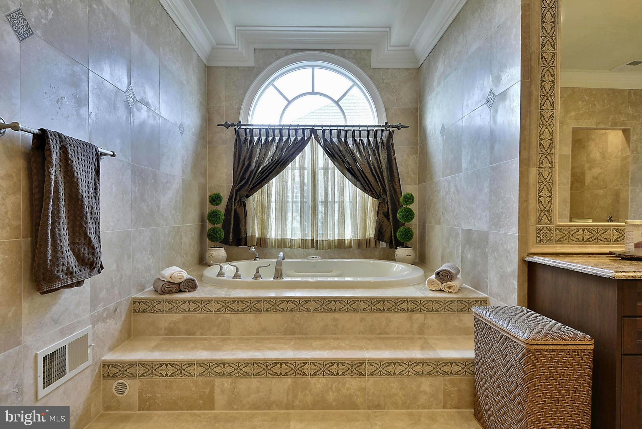 41338 Raspberry Drive Leesburg, VA 20176 - Photo 15 of 30 Bath (Master)