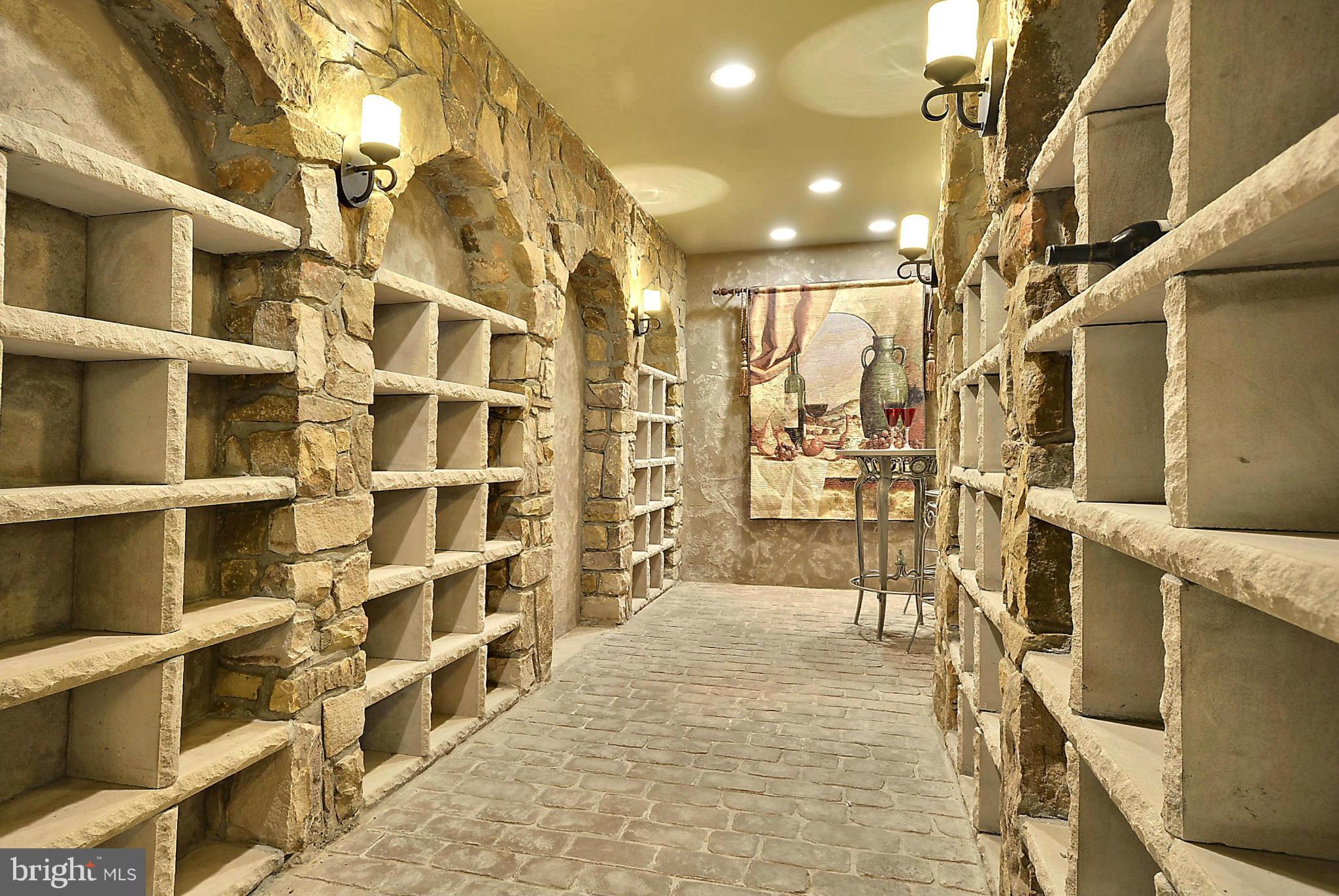 41338 Raspberry Drive Leesburg, VA 20176 - Photo 23 of 30 Lower Level - Wine Cellar and Tasting Area