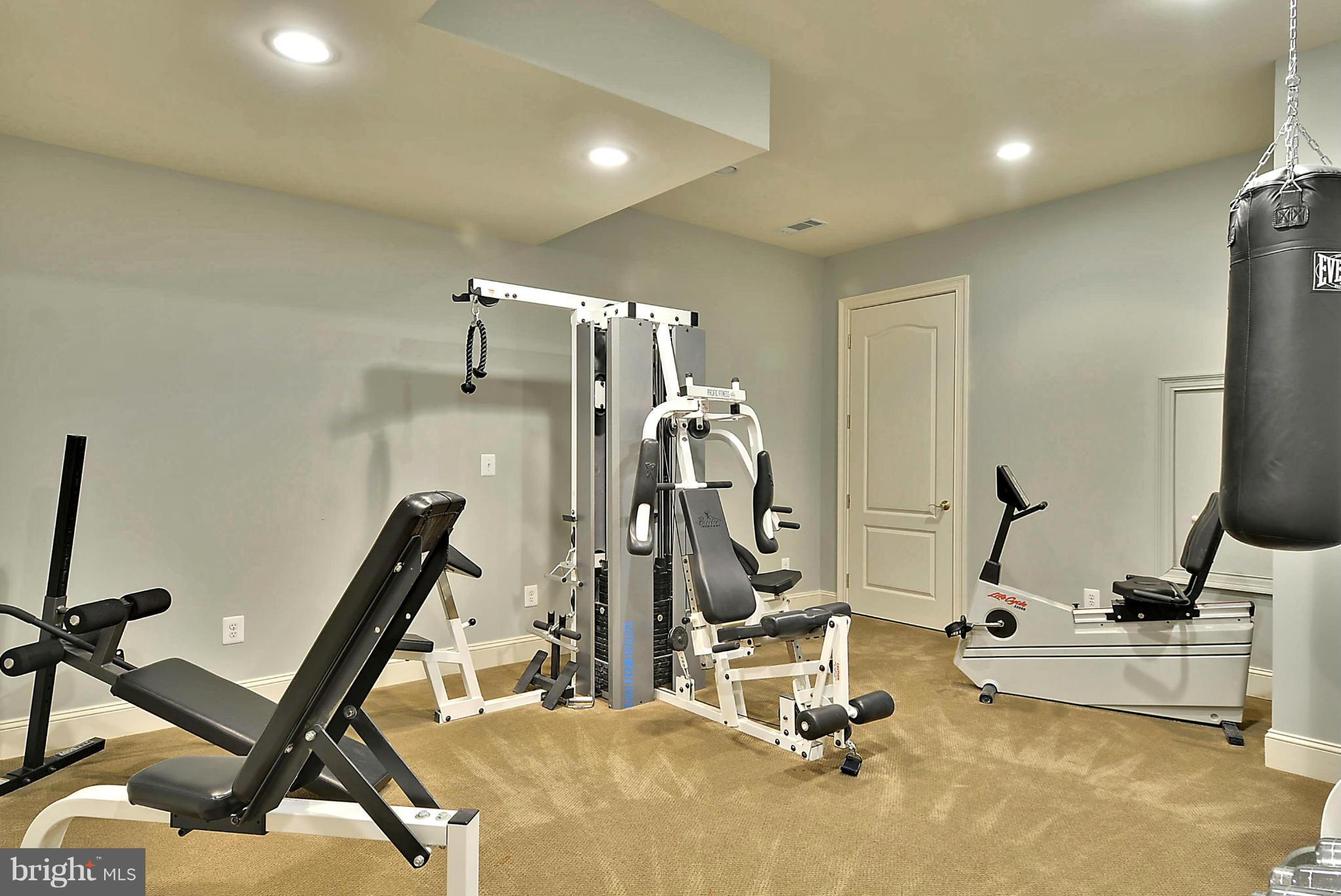 41338 Raspberry Drive Leesburg, VA 20176 - Photo 25 of 30 Lower Level Gym