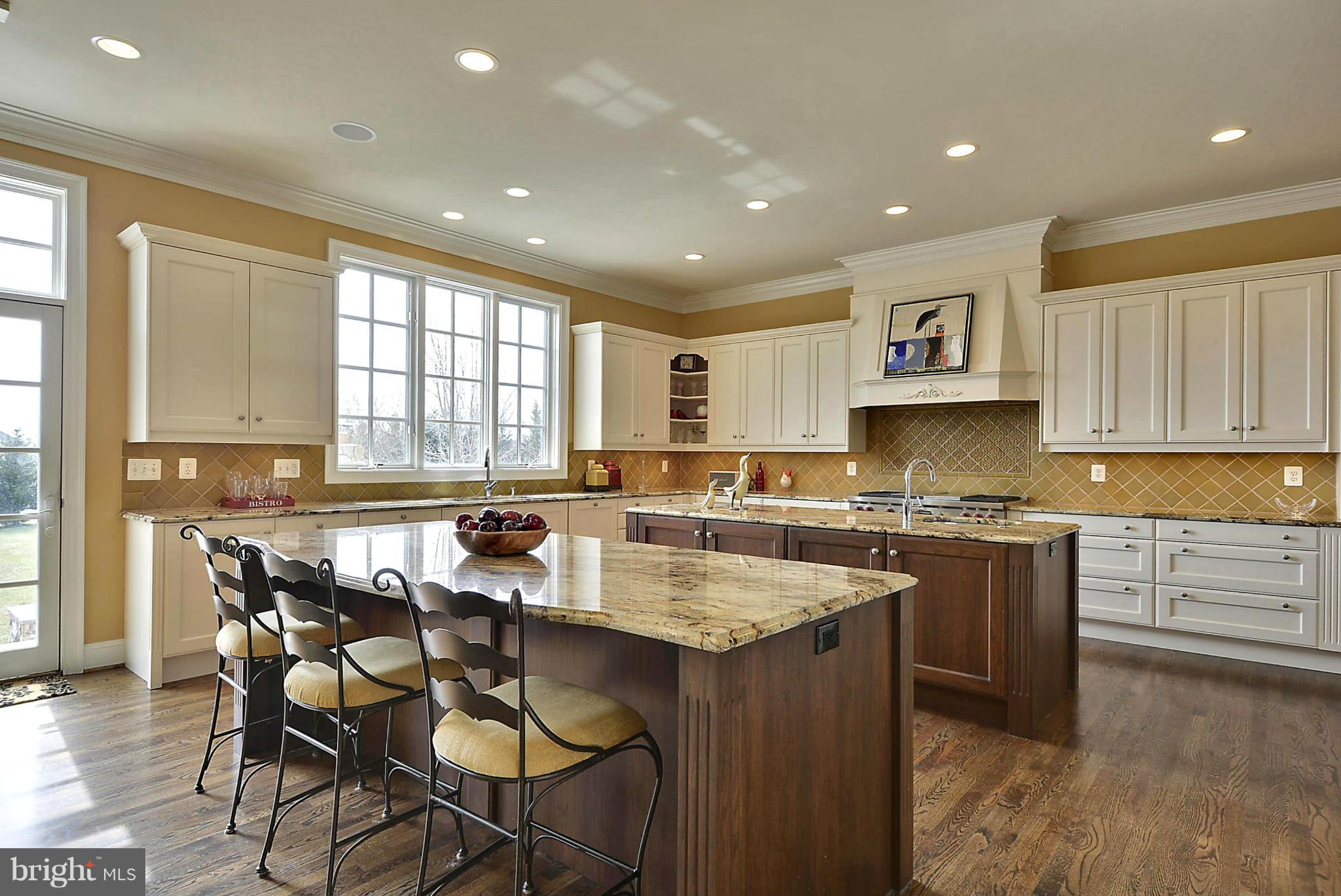 41338 Raspberry Drive Leesburg, VA 20176 - Photo 8 of 30 Gourmet Kitchen - Double Island