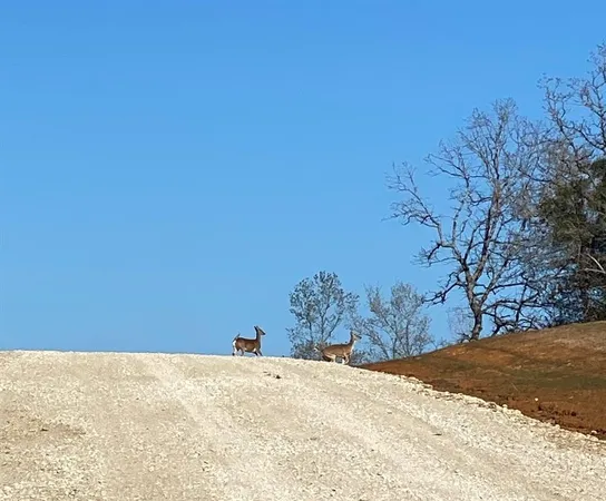 a view of empty space with mountain