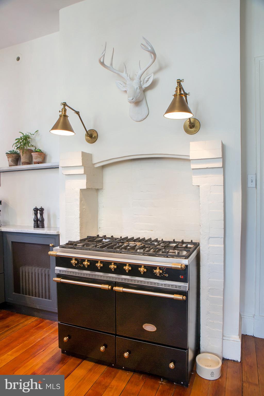 14 4th Street Southeast Washington, DC 20003 - Photo 15 of 60 La Canche French Stove