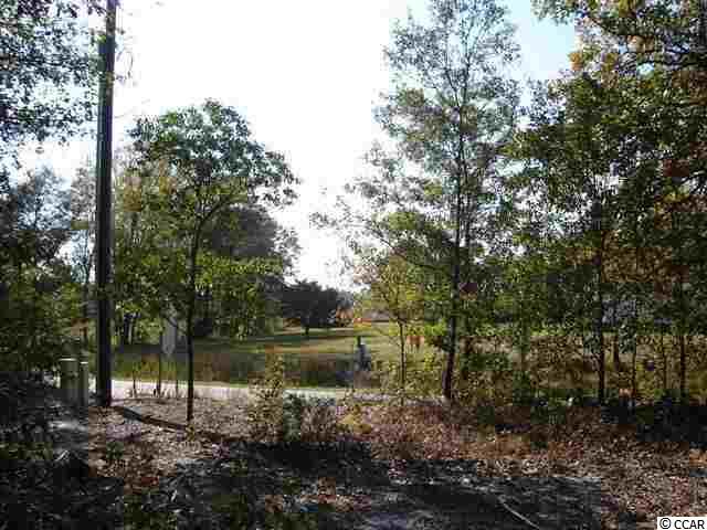 Lot 8 Enoch Road Aynor, SC 29511 - Photo 2 of 25 Gallery Image 2