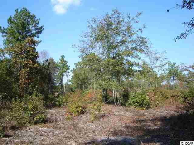 Lot 8 Enoch Road Aynor, SC 29511 - Photo 3 of 25 Gallery Image 3