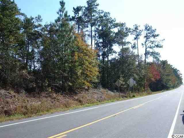 Lot 8 Enoch Road Aynor, SC 29511 - Photo 5 of 25 Gallery Image 5