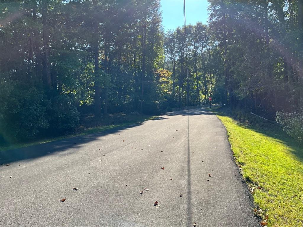 152 Silver Fox Loop Waleska, GA 30183 - Photo 2 of 18 a view of swimming pool