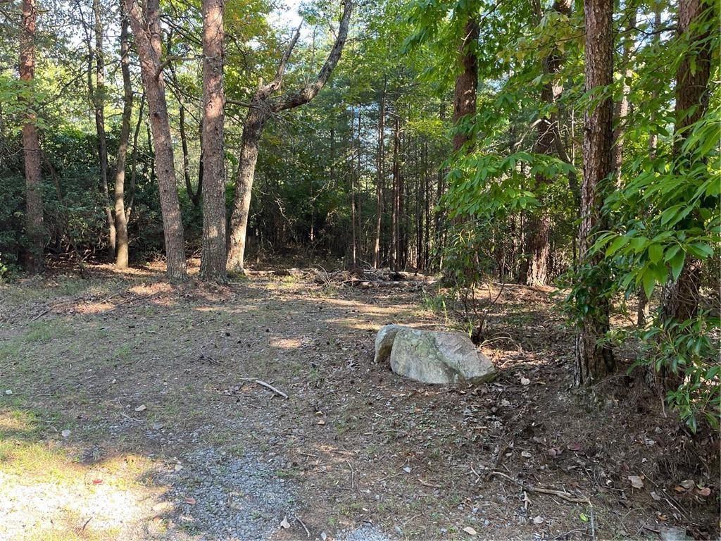152 Silver Fox Loop Waleska, GA 30183 - Photo 3 of 18 a view of outdoor space with trees
