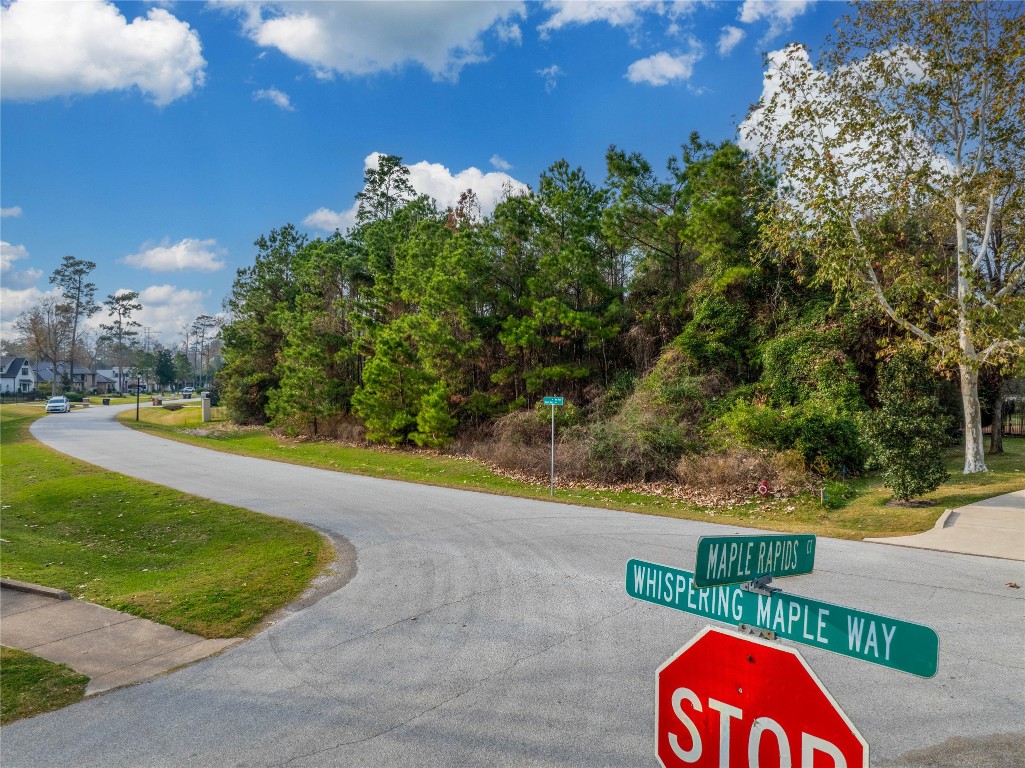 4227 Maple Rapids Lane Spring, TX 77386 - Photo 6 of 16 a view of a street with a tree in the background