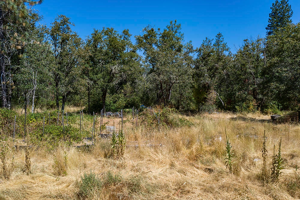 7970 Takilma Road Cave Junction, OR 97523 - Photo 38 of 47 Takilma 38