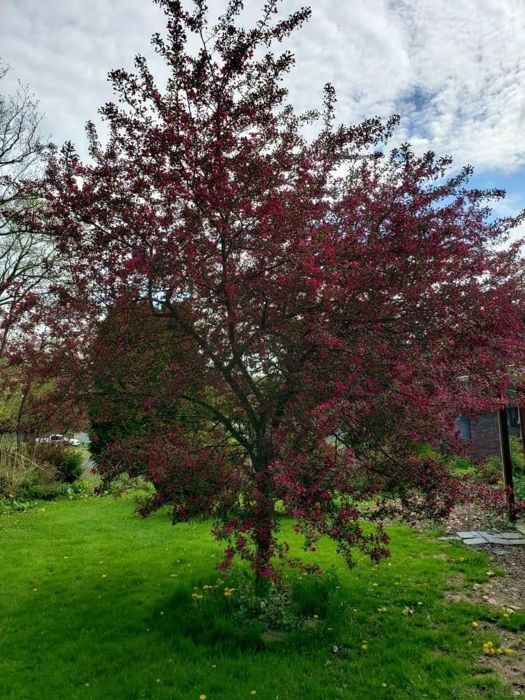 1261 Stoystown Road Friedens, PA 15541 - Photo 36 of 54 Gallery Image 36