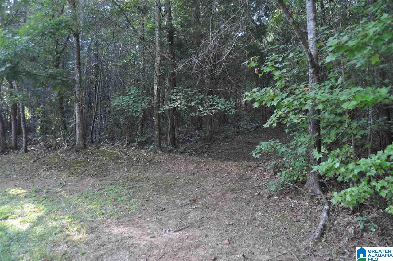 1630 Peaceburg Road Weaver, AL 36277 - Photo 38 of 44