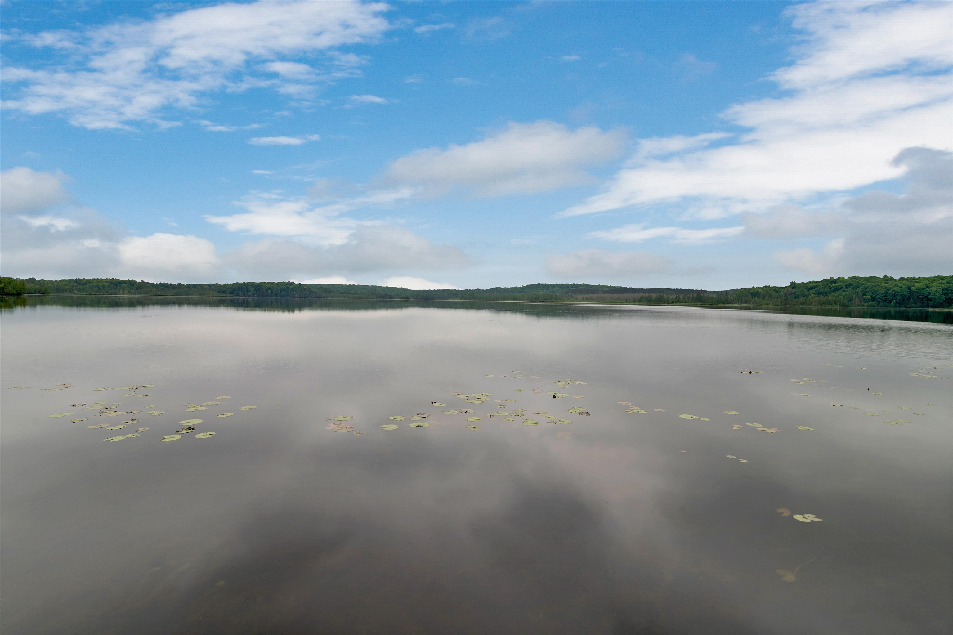 3159 Williams Road Long Lake, WI 54542 - Photo 54 of 90