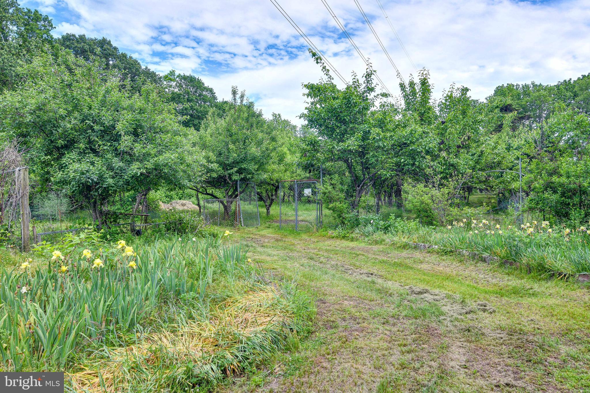 362 Etra Road Hightstown, NJ 08520 - Photo 2 of 18