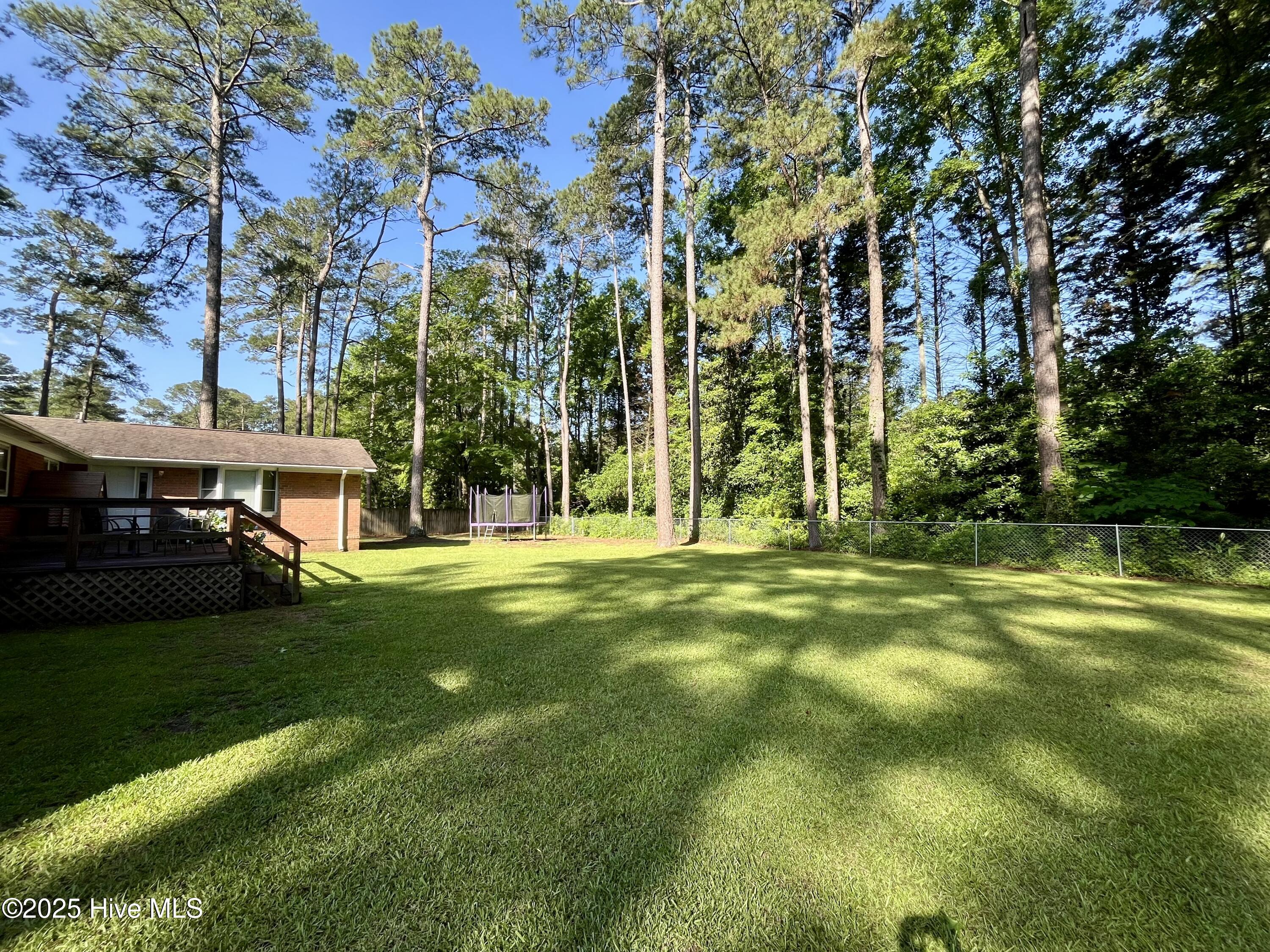 409 Forest Road Laurinburg, NC 28352 - Photo 33 of 33 IMG_8009